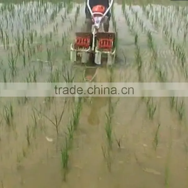 Paddy Weeder photo-6
