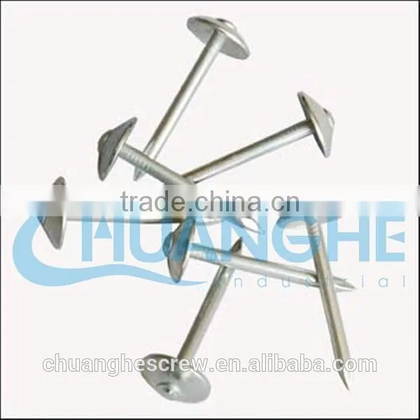 Roofing Nails With Round Plastic Cap photo-2