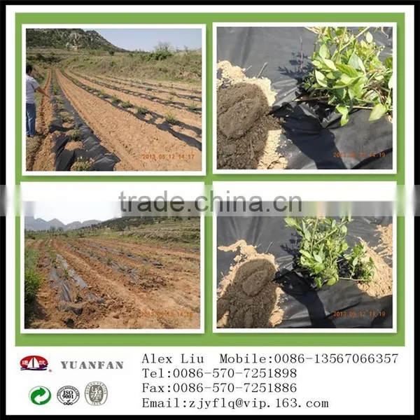 pp Spunbond Nonwoven Fabric Rolls To Prevent the Weeds photo-5