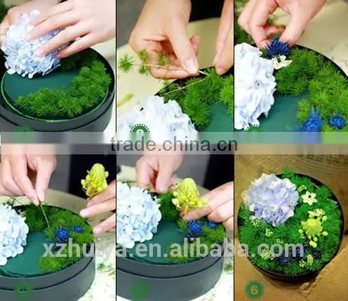 Green Round Cyclinder Shape Floral Foam Plate for Round Flower Box for Valentine's Day photo-5
