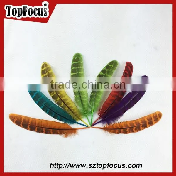 Reeves Cheap Natural Pheasant Tail Pheasant Feather for Sale photo-5