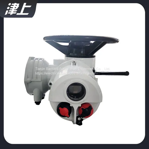 Rotary Electric Actuator IQC20 Solar Control photo-4