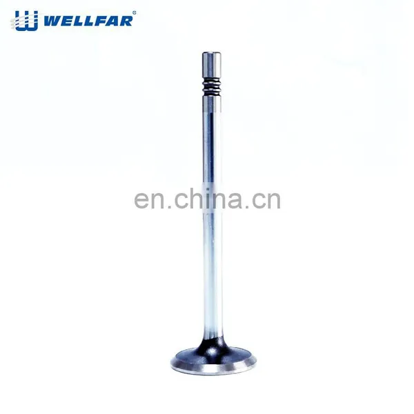Factory High Precision Performance Engine Valve for Fiat photo-4