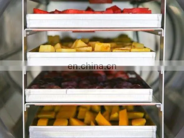 Food Freeze Dryers Sale Mini Freeze Drying Machine photo-4