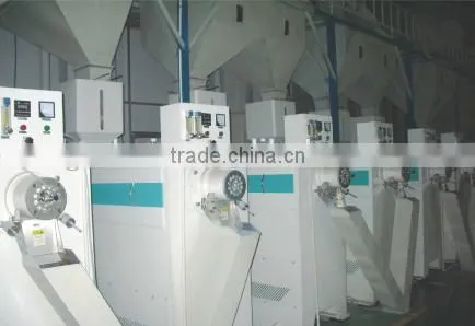 Salable Rice Polisher/ Rice Polishing Machine/rice Polisher Machine photo-3