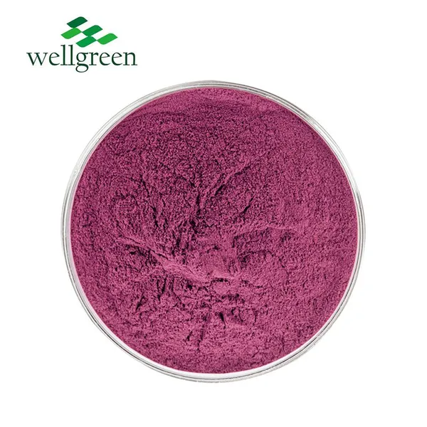 FREE SAMPLE Health Supplement Anthocyanin Beverage Natural Blueberry Concentrate Juice Powder photo-2