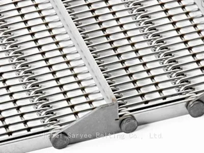 Eye Link Conveyor Belts photo-2