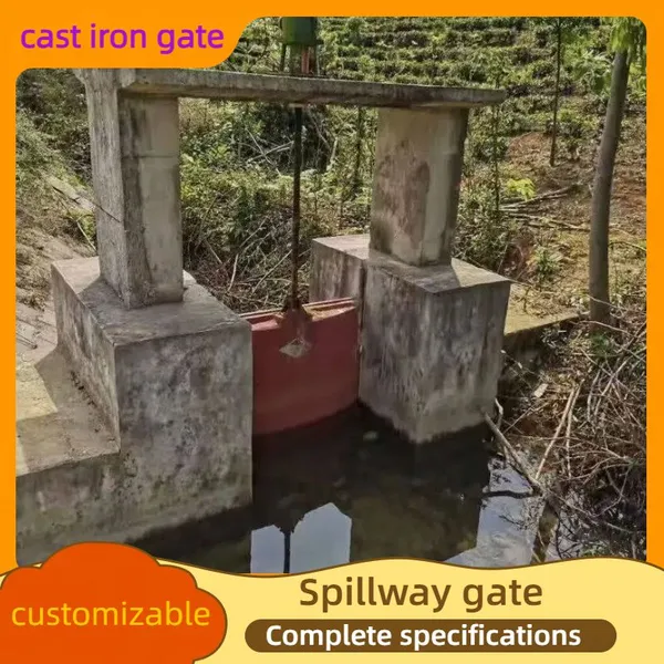 Anti-Water-Impact Hydropower Spillway Gate Stable Operation Water Control Gate for Power Generation Dam
