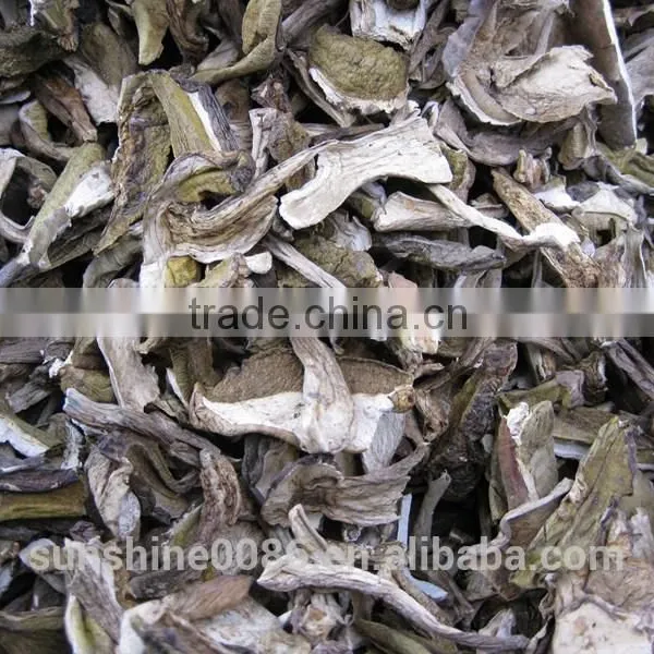 Market Prices For Boletus photo-4