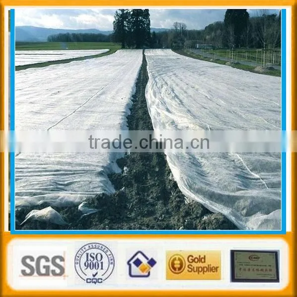 Non-woven Weed Control Cover Factory photo-2
