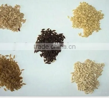 Single Screw Extruder Automatic Nutritional Rice Equipment photo-6