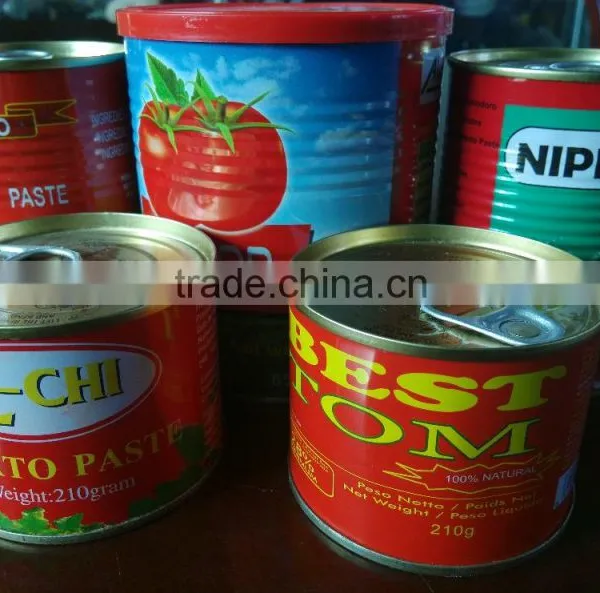 2016 New Products Canned Tomato Paste With Premium Grade photo-3