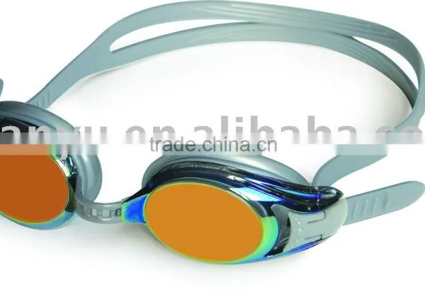 Mirror Coated Goggles