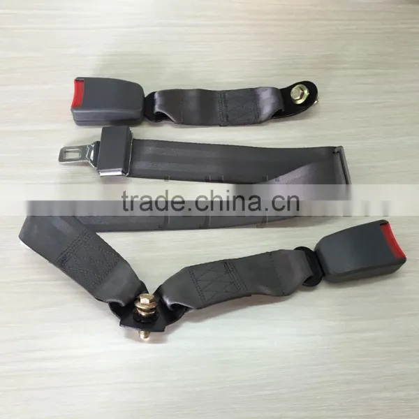 Customized DOT CCC E-Mark Certificated 2-point Double Buckle Seat Belt