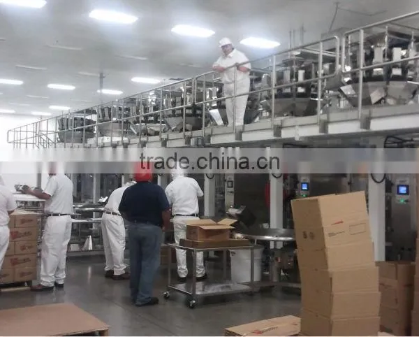 Fast Back Horizontal Motion Conveyor Design for Potato Chips Conveying photo-2