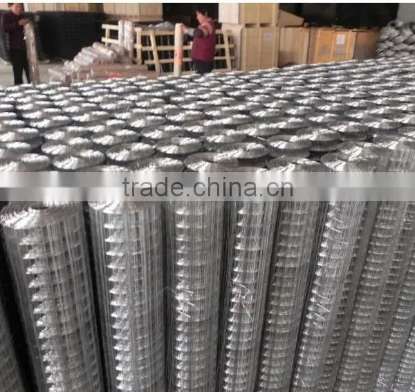 Low Price Electro Galvanized Welded Wire Mesh Made in China photo-2