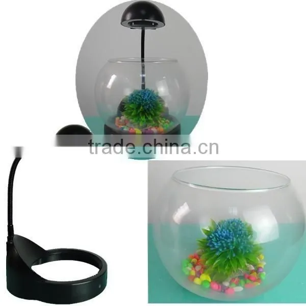 Best Selling Products Mini Round Bowl Fish Tank for Home Decor Quality Choice photo-2