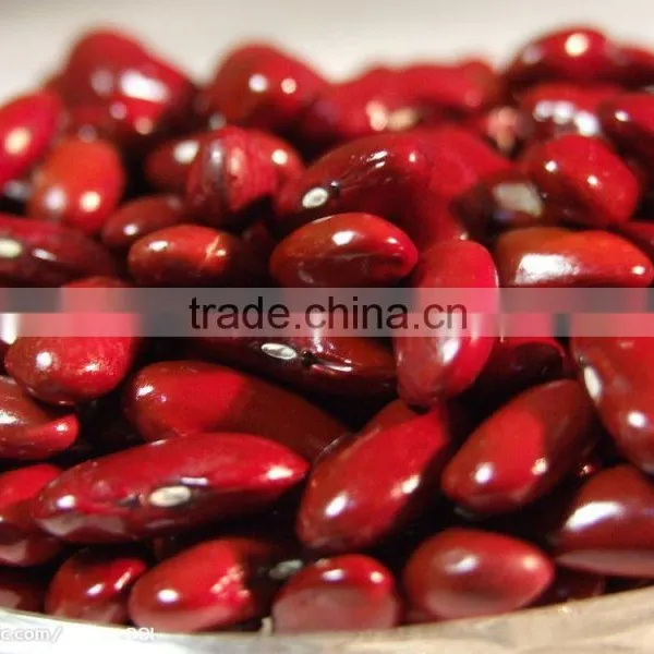 Supply Hot Sale English Red Kidney Beans With Competitive Price photo-4