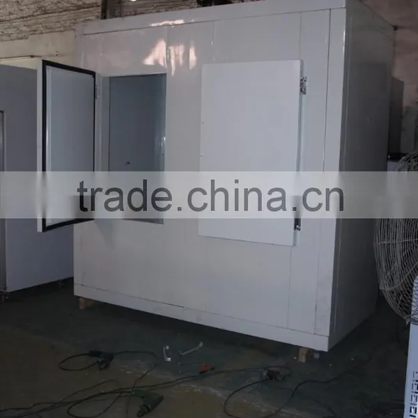 Insulated Refrigerated Ice Storage Room photo-4