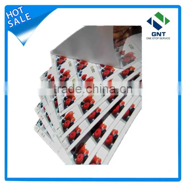 PVC Uncoated Overlay Film photo-5