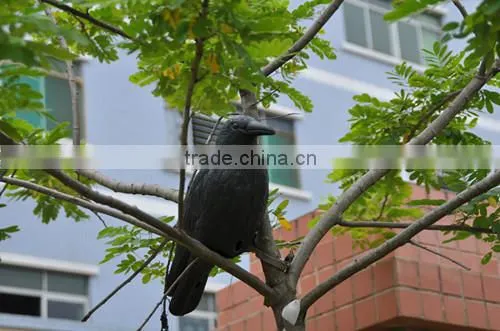 Garden Decoration Crow Decoys, Crow Decoys of Black Decoys photo-4