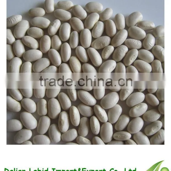 Export Broad White Kidney Dry Beans For Sale 2016 Crop