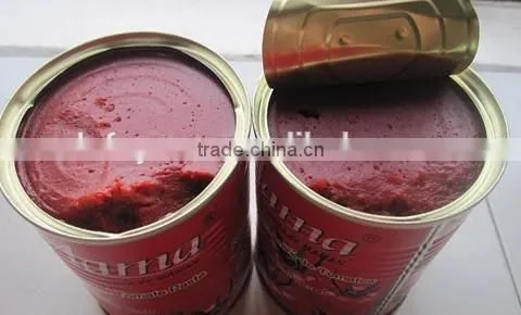 Tomato Paste photo-5
