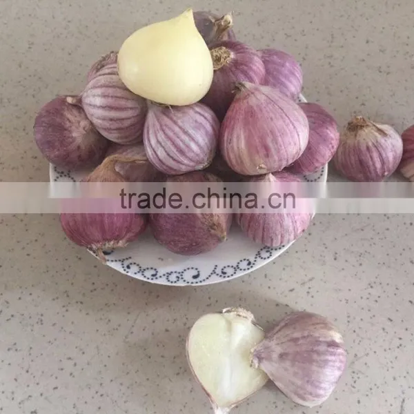 YUYUAN Brand Hot Sail Fresh Garlic Commercial Garlic Peeler photo-6