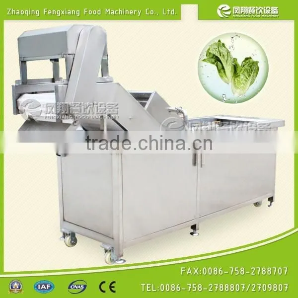WA-1000 Commercial Vegetable Washer,vegetable and Fruit Washing Machine,ozone Fruit and Vegetable Washer With CE Certificates photo-4