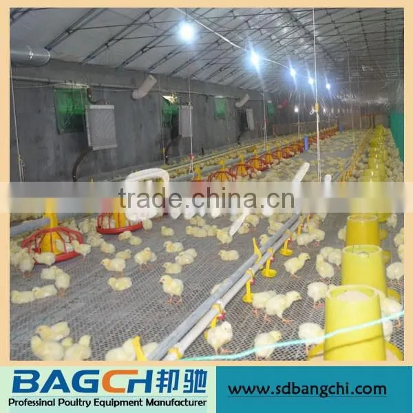 Shandong Controlled Poultry Feeders and Drinkers for Broiler House photo-4