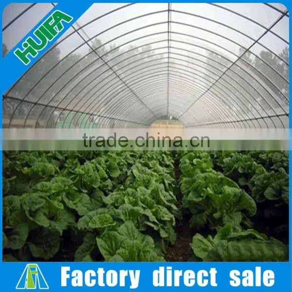 Low Cost Galvanized Pipes Vegetable Greenhouse With Irrigation System for Agriculture