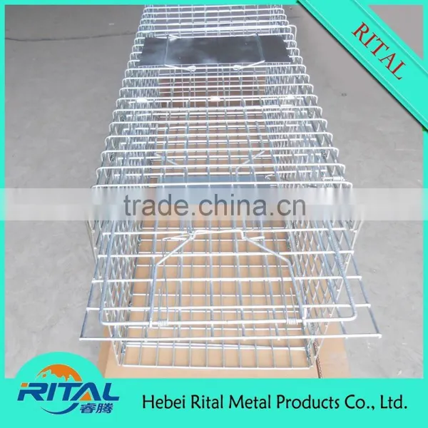 Galvanized Coon Live Cage Trap for Trapping Coon photo-3