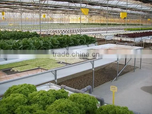 Commercial Greenhouses photo-2