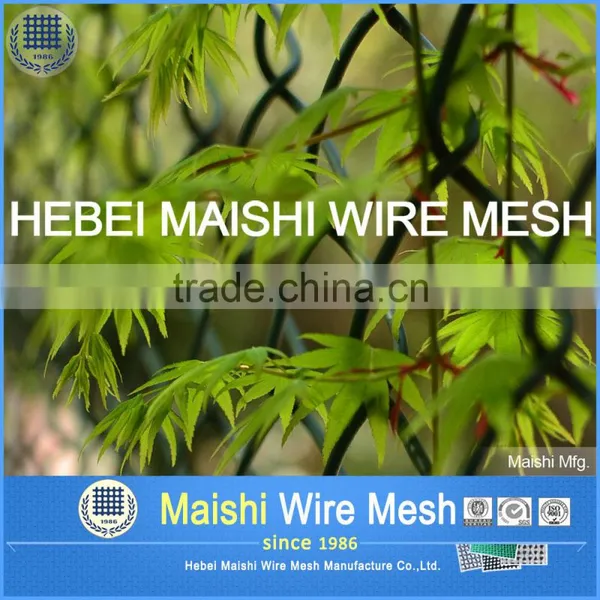 PVC Coated and Galvanized 50mm Opening 2.5mm Chain Link Fence photo-5