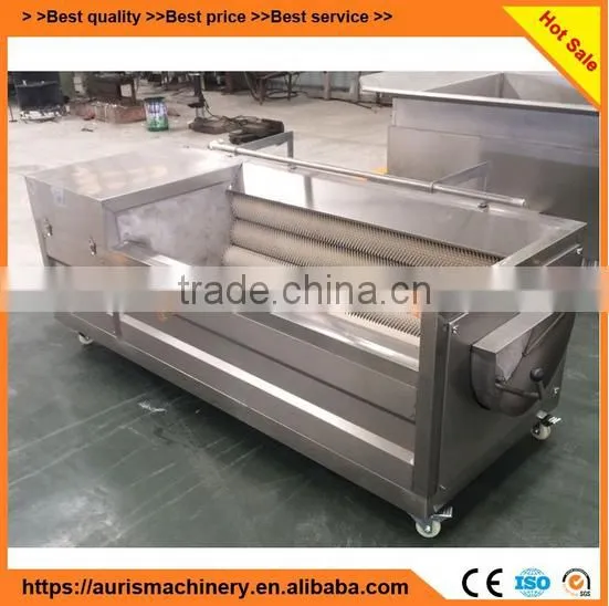 Hot Selling Automatic Sweet Potato Radish Fruit and Vegetable Brush Washer photo-4