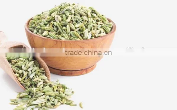 Fennel Seeds photo-4
