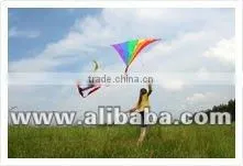 Kite Flying Glazed Cotton Thread
