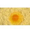 Sell Heat Stable Egg Yolk Powder