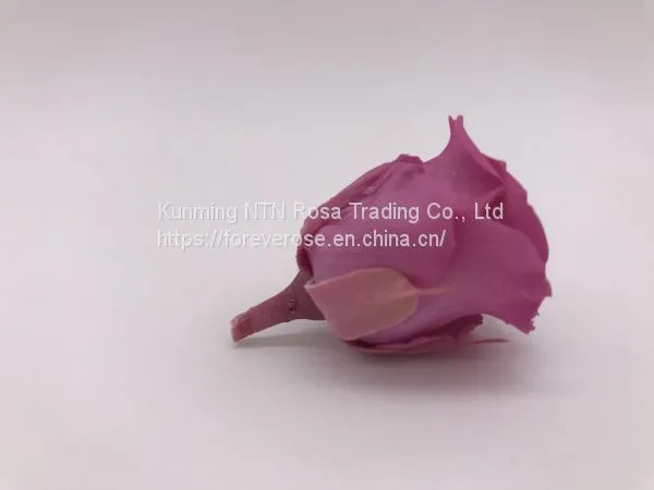Preserved Rose Flowers for Wedding Decoration Flower Arrangement photo-4