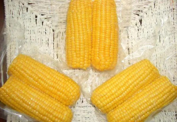 Imported Fresh Sweet Corn Quality Top Sweet Corn Natural Fresh Sweet Corn Food Prices