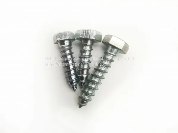 DIN571 M6 M12 Hex Head Wood Screw Fastener photo-5
