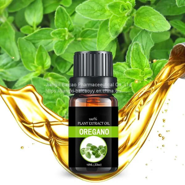 Oregano Oil Essential Oil Feed Additives Raw Material for Medicine photo-4