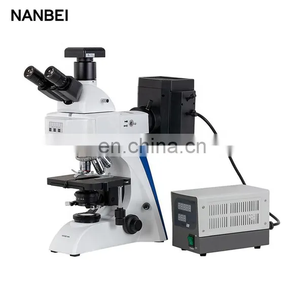 BK Series Biological Microscope BK5000 Binocular Microscope Price photo-5