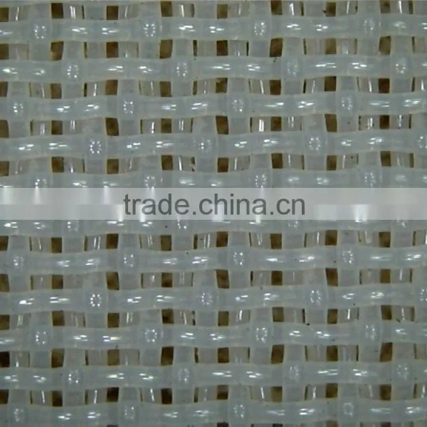 Polyester Mesh Fabric for Paper Pulping photo-3