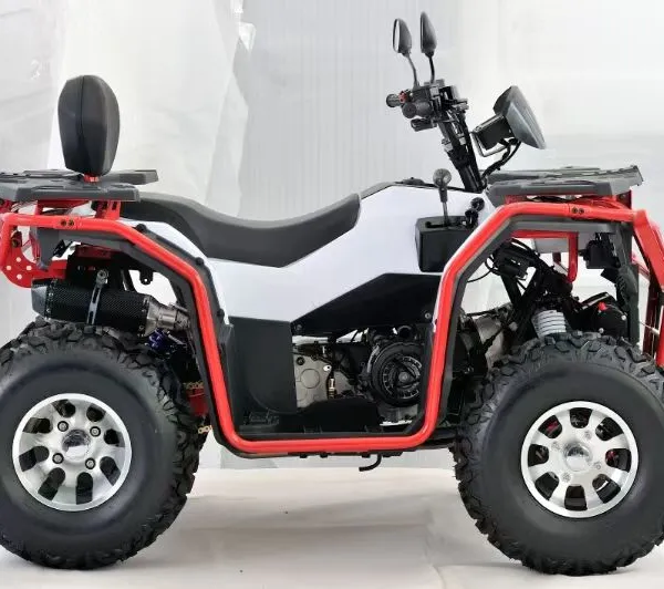 2025 Newest 200CC Automatic 4wheel Quad ATV for off Road Driving photo-3