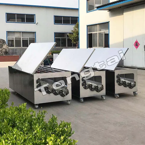 Daikon Cleaning Machine Automatic Radish Washing Machine photo-4