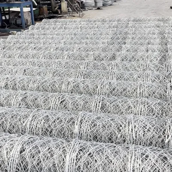 Galvanized Double Twist Steel Mesh Grid Structure Reinforced Mesh for Coastal Rockfall Protection Netting Factory Direct photo-2