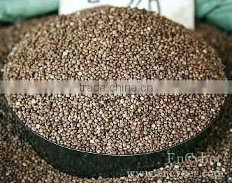 Brown China Perilla Seed Brown, 2014 Crop