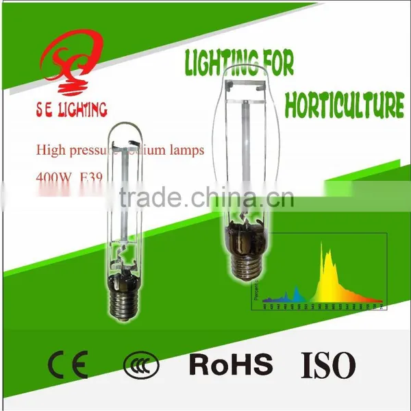 Top Qulaity Cheap Price Hydroponics Indoor HID Lamps for Greenhouses photo-6