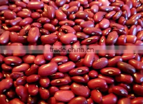 RED BEANS